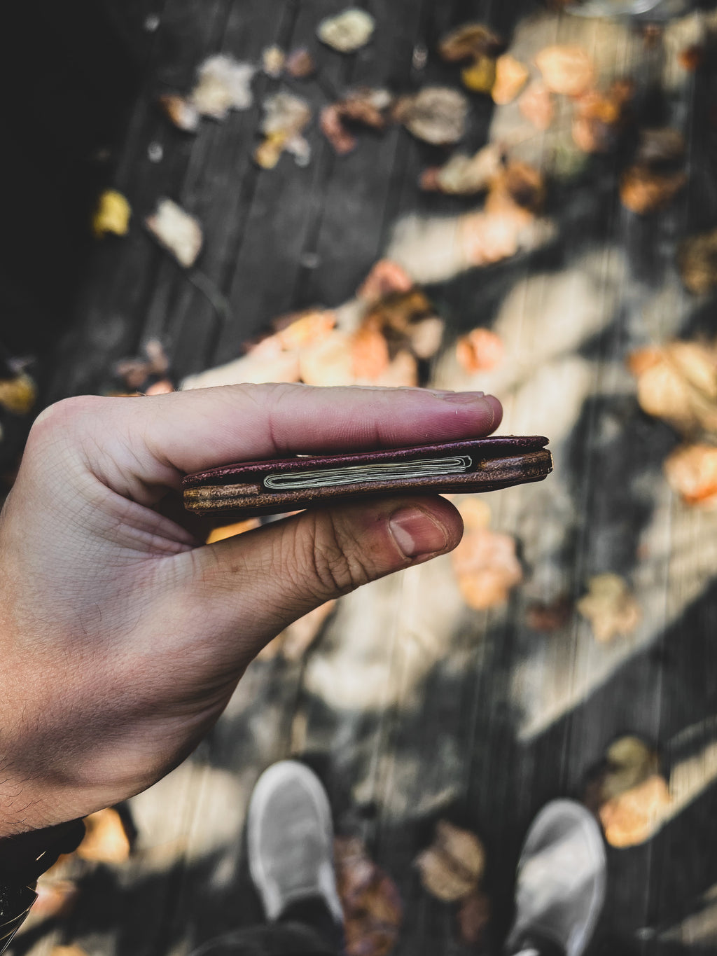 The Curve Card Wallet